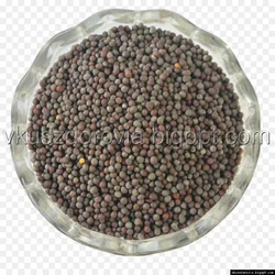 Горчица черная.Цена за 100г Горчица черная.Цена за 100г