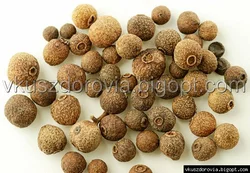 Перец душистый горошек, Мексика Перец душистый горошек, Мексика