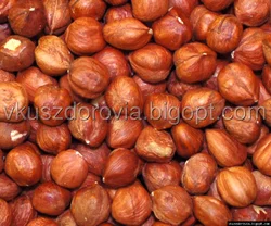 Фундук Туреччина 11/13 Фундук Туреччина 11/13