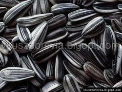 "Рейна-К"- семечка подсолнечника полосатая.Сорт - (Конфетка) "Рейна-К"- семечка подсолнечника полосатая.Сорт - (Конфетка)