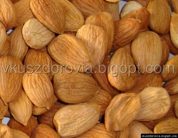 Ядра абрикосовых косточек Ядра абрикосовых косточек