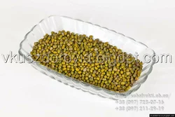 Чечевица зеленая.(Маш) Узбекистан Чечевица зеленая.(Маш) Узбекистан