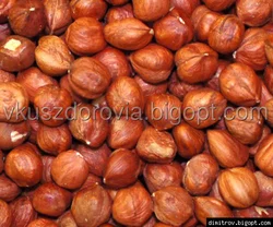 Фундук Фундук