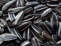 Семечка подсолнечника полосатая.Сорт - "Рейна-К" (Конфетка) Семечка подсолнечника полосатая.Сорт - "Рейна-К" (Конфетка)