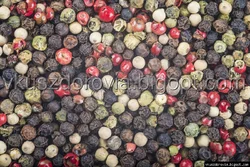 Смесь четырех перцев.Цена за 100г Смесь четырех перцев.Цена за 100г