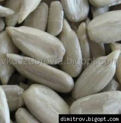 Ядро семечки подсолнечника. Ядро семечки подсолнечника.