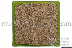 Ядро семечки подсолнечника. Ядро семечки подсолнечника.