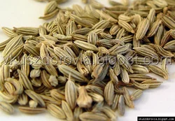 Анис, Египет Анис, Египет