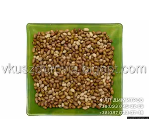 Фасоль зеленая , купить Фасоль зеленая , купить