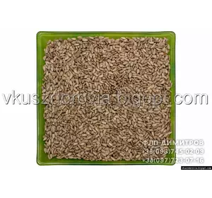 Ядро семечки подсолнечника. Ядро семечки подсолнечника.